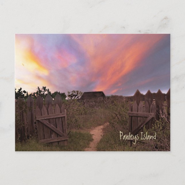 Pawleys Island Sunset Postcard Vykort (Framsida)