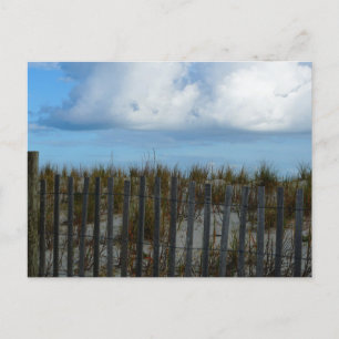 Pawleys ö, South Carolina Vykort