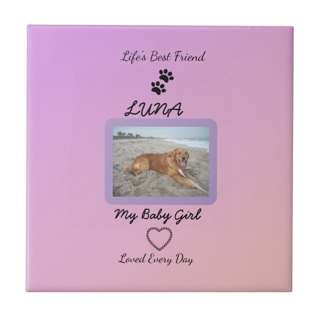 Pawprint Heart Everyday Pet Kakelplatta (Framsidan)