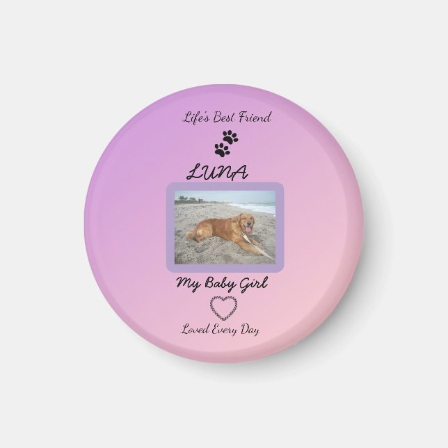 Pawprint Heart Pet Joy Magnet (Framsidan)