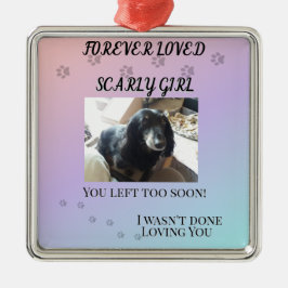 Pawprints Across the Rainbo Tribute Julgransprydnad Metall