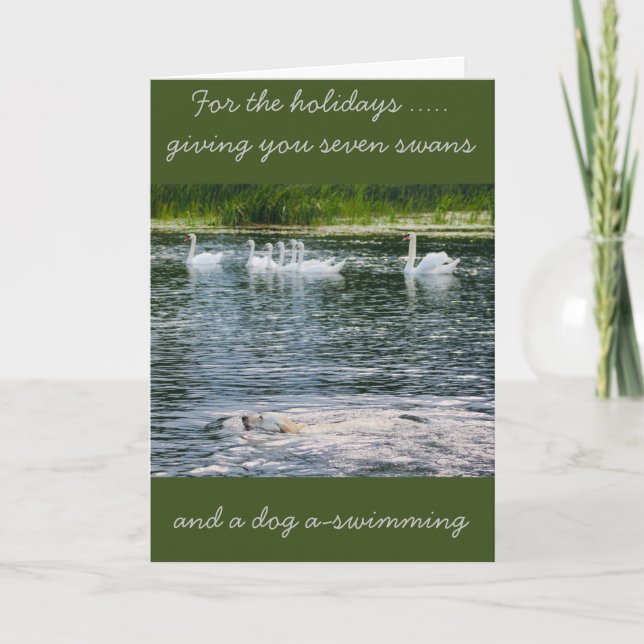 Paws and Feathers Holiday Card Helgkort (Framsida)