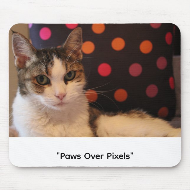 Paws Over Pixels Musmatt Musmatta (Framsidan)