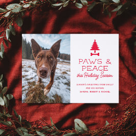 Paws Peace Festive Dog Pet Christmas Holiday