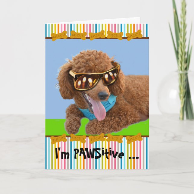 Pawsitive Birthday Red Pudel i Shades Kort (Framsida)