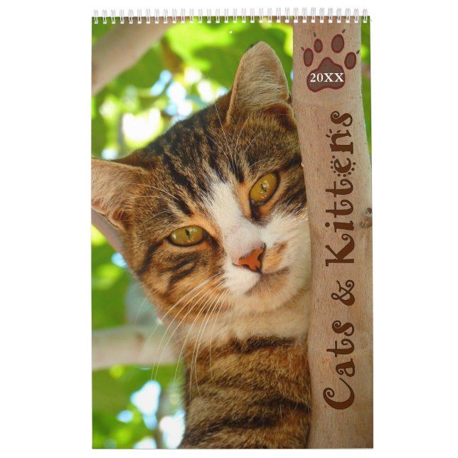 Pawsitive Cats and Kittens 2021 Calendar Kalender (Omslag)