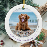 Pawsitive Covid Quarantine Lila Hund Pet Photo Julgransprydnad Keramik<br><div class="desc">Pawsivt bästa år någonsin! Enligt hundar! Dekorera träd eller skicka en speciell gåva med den här toppen anpassningsbarna för söta personliger som husdjur till fotojultomdekoration. Denna roliga pandemiska karantänprydnad vid hund kommer att vara en favorit bland alla hundälskare. Lägg till din hund foto och anpassa dig med namn och år....</div>