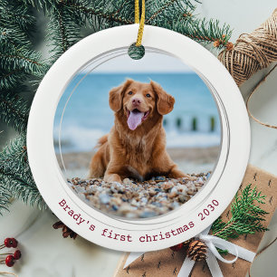 Pawsitive Covid Quarantine Red Hund Pet Photo Julgransprydnad Keramik