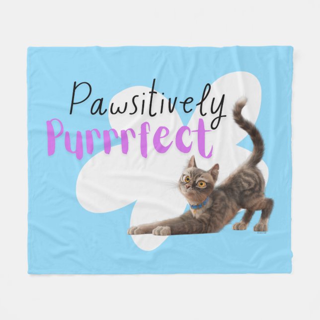 Pawsitive Purrect Fleecefilt (Framsidan (Horisontell))