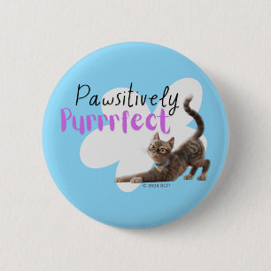 Pawsitive Purrect Knapp
