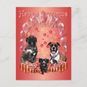 Pawsome Birthday Card Vykort