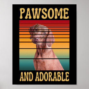 PAWSOME OCH ADORABLE POSTER
