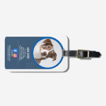 Pawsomisk Professionell: Hund Photo Social Media