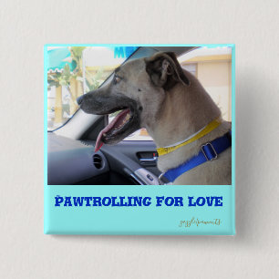 Pawtrolling Knapp