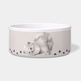 "Pawyer Bowl"? Kattunge🐾✨