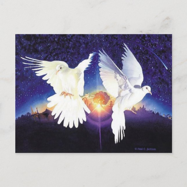 "Pax in Terra" Dove Scene Vykort (Framsida)