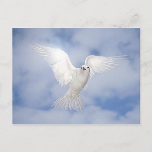 Pax Vykort (Framsida)