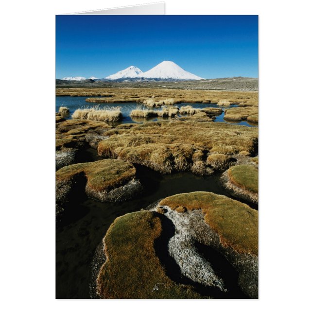 Payachalas Volcanos Hälsningskort (Framsidan)