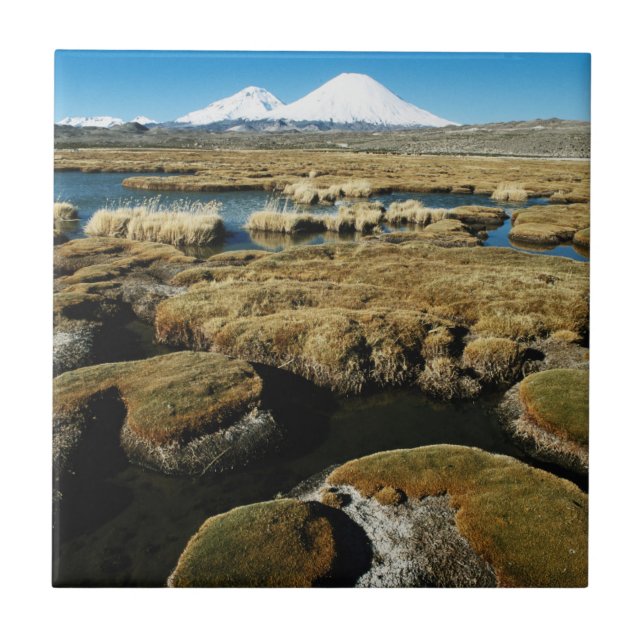 Payachalas Volcanos Kakelplatta (Framsidan)