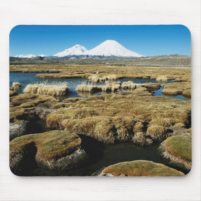 Payachalas Volcanos Musmatta (Framsidan)