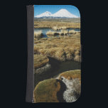Payachalas Volcanos Plånboksfodral<br><div class="desc">Andres Morya Hinojosa / DanitaDelimont.com| Sydamerika,  Chile| Chile,  Altiplano,  Payachalas Volcanos,  Bofedal Parinacota,  Lauca National Park</div>