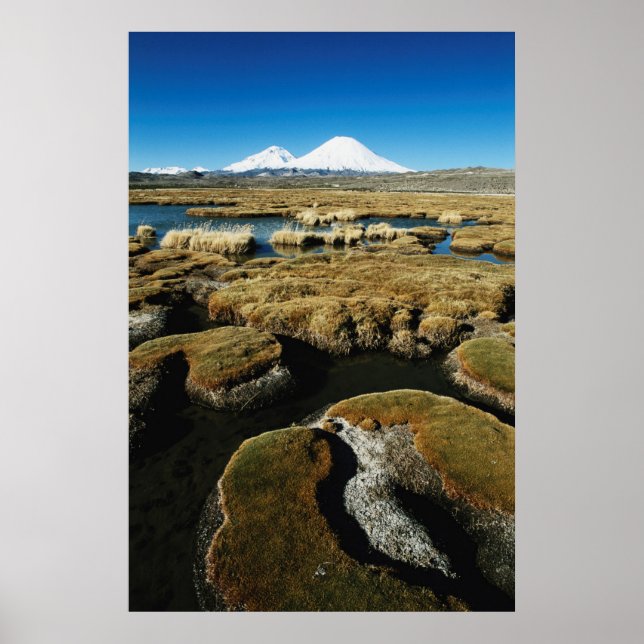 Payachalas Volcanos Poster (Framsidan)