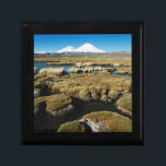 Payachalas Volcanos Smyckeskrin<br><div class="desc">Andres Morya Hinojosa / DanitaDelimont.com| Sydamerika,  Chile| Chile,  Altiplano,  Payachalas Volcanos,  Bofedal Parinacota,  Lauca National Park</div>