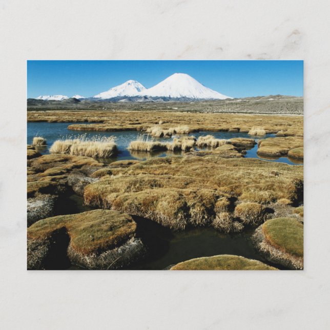 Payachalas Volcanos Vykort (Framsida)