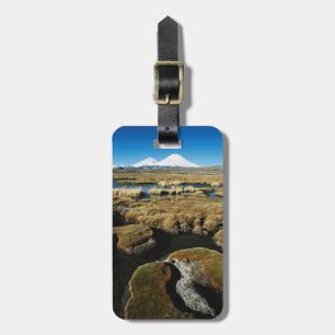 Payachalas vulkaner bagagebricka