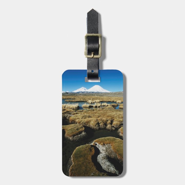 Payachalas vulkaner bagagebricka (Vertikal Framsida)