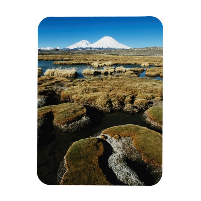 Payachalas vulkaner magnet (Vertikal)