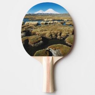 Payachalas vulkaner pingisracket