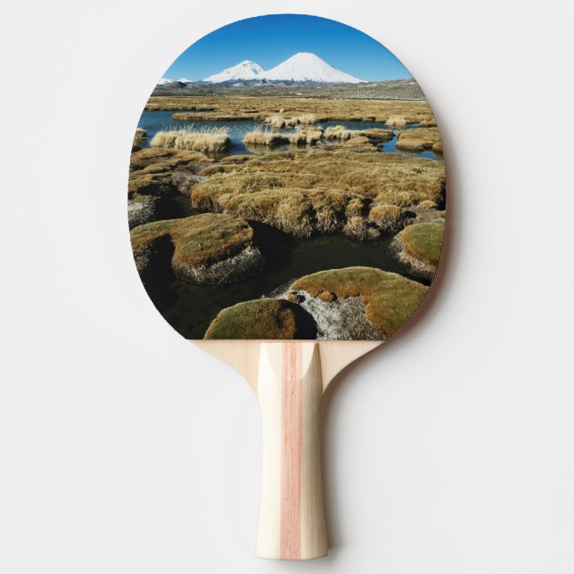 Payachalas vulkaner pingisracket (Framsidan)