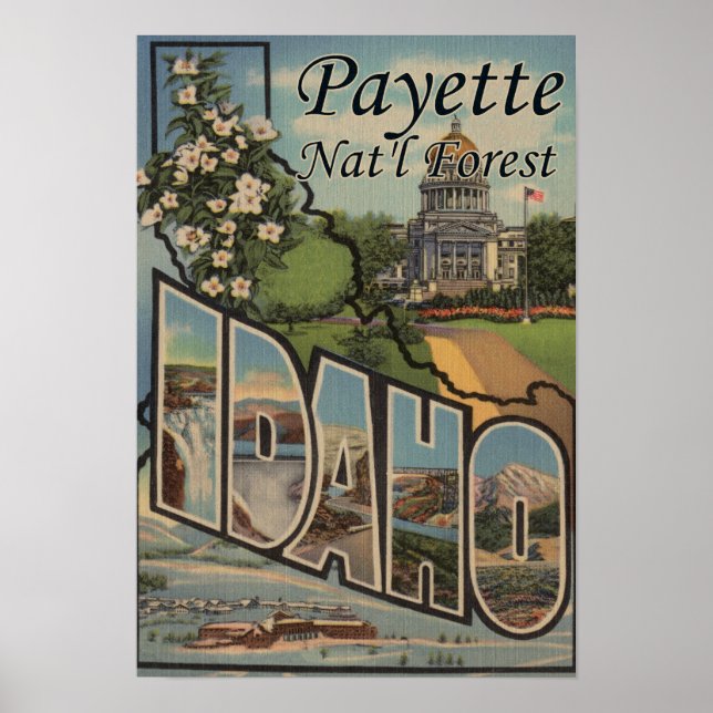Payette Nat'l Forest, Idaho - Large Brev Scene Poster (Framsidan)