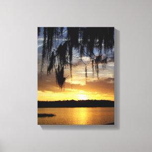 Paynes Prairie Florida Sunset Canvastryck