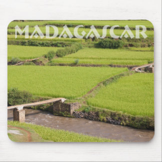 Paysage de rizières à Madagascar Musmatta