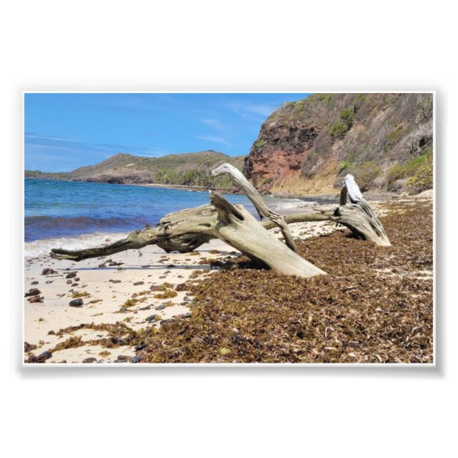 paysage fototryck (Framsidan)