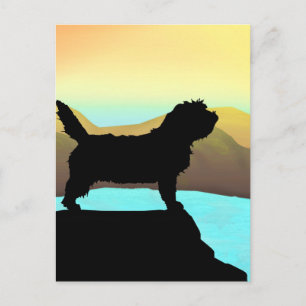PBGV-Hund efter havet Vykort