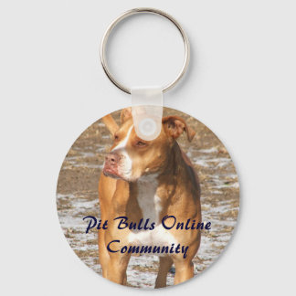 PBOC-Nyckelring Nyckelring