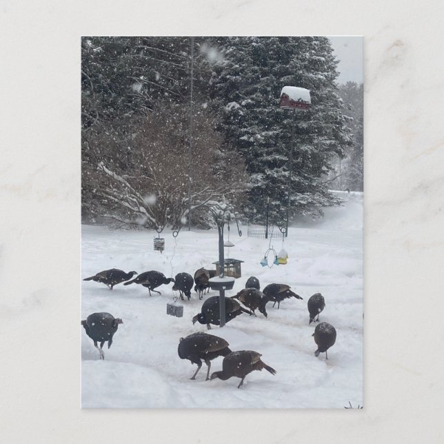 PC-vinterfest samlings träff möte kul Vykort (Framsida)