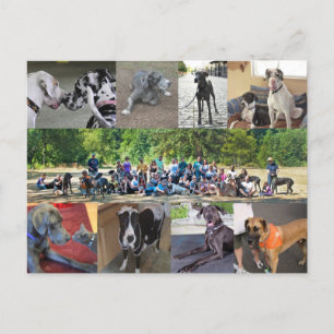 PDXDanes-vykort Vykort