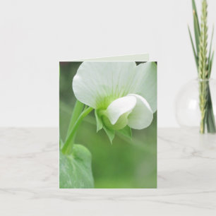 Pea Blommars anpassningsbar notecard eller ett gra Kort