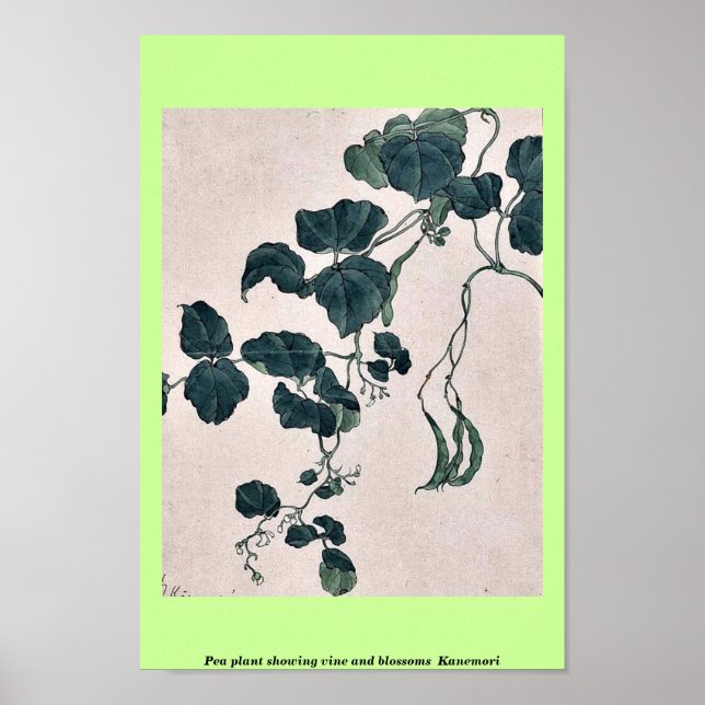 Pea-plantering av vin och blommar Kanemori Poster (Framsidan)