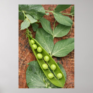 Pea-Poden Poster