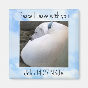 Peace Bible Verse Hund Photo in Light Blå himmel Magnet
