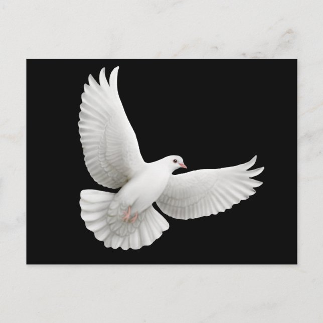Peace Dove-vykort Vykort (Framsida)