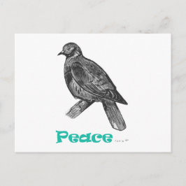 Peace Dove-vykort Vykort