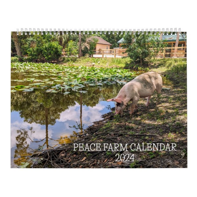 PEACE FARM CALENDAR 2024 KALENDER (Omslag)