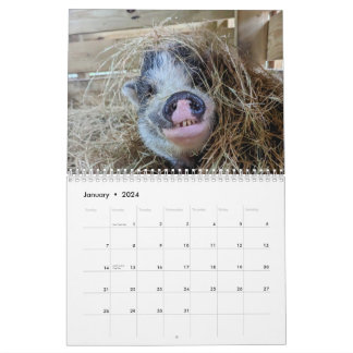 Peace Farm Calendar Kalender