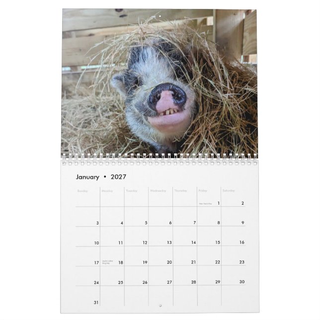 Peace Farm Calendar Kalender (Jan 2027)